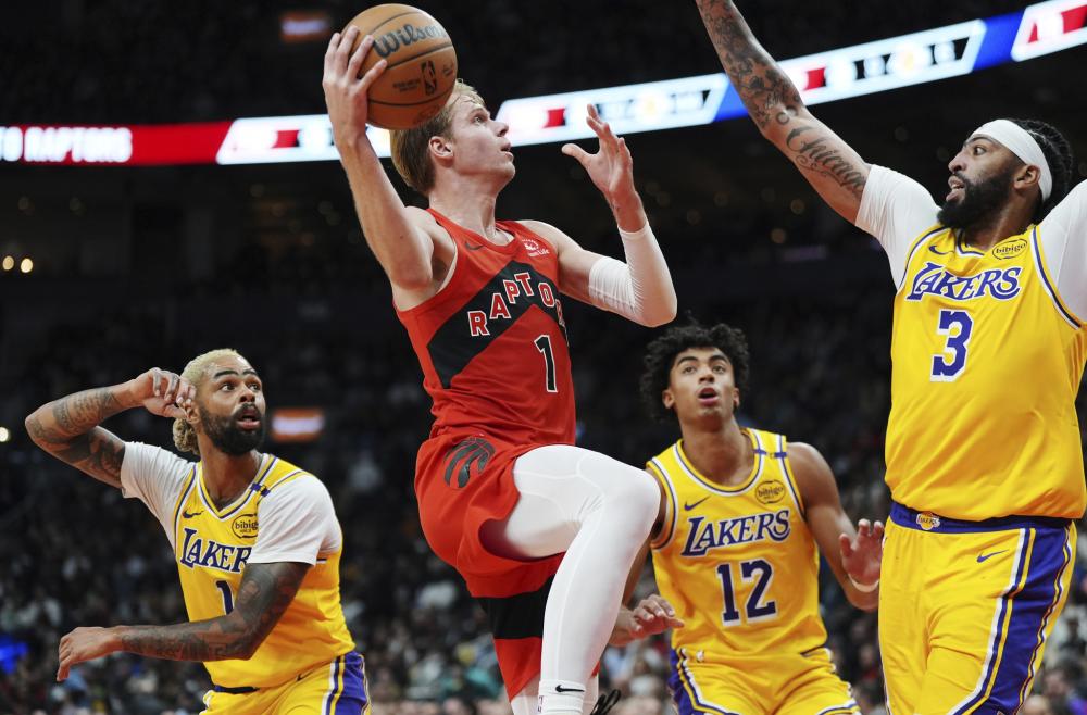 这场失利无 这场失利无